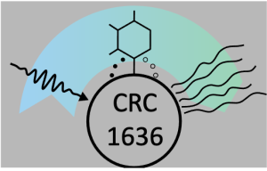 Logo CRC 1636