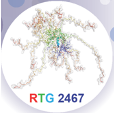 Logo RTG 2467